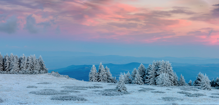 Witoschagebirge im Winter (Foto: shutterstock / Todor N Nikolov)